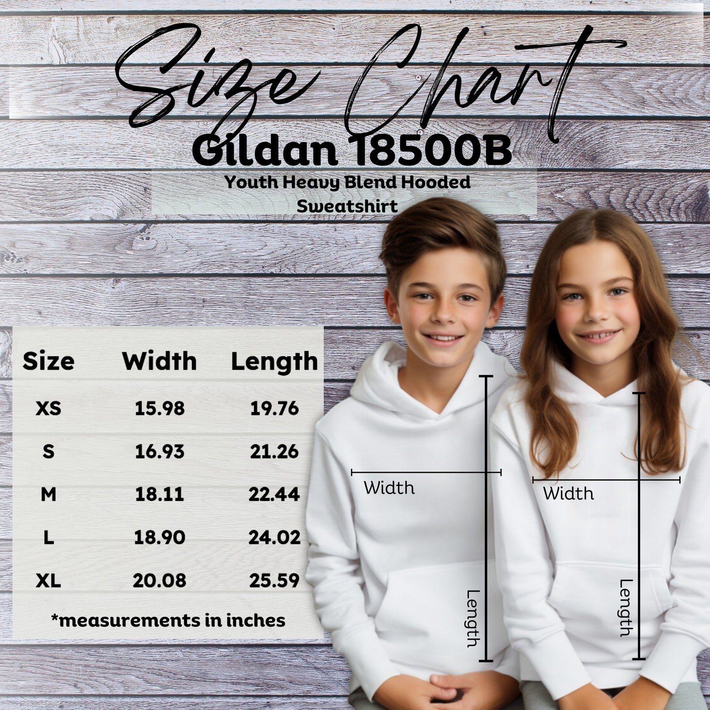 Raptors Softball - Youth Hoodie