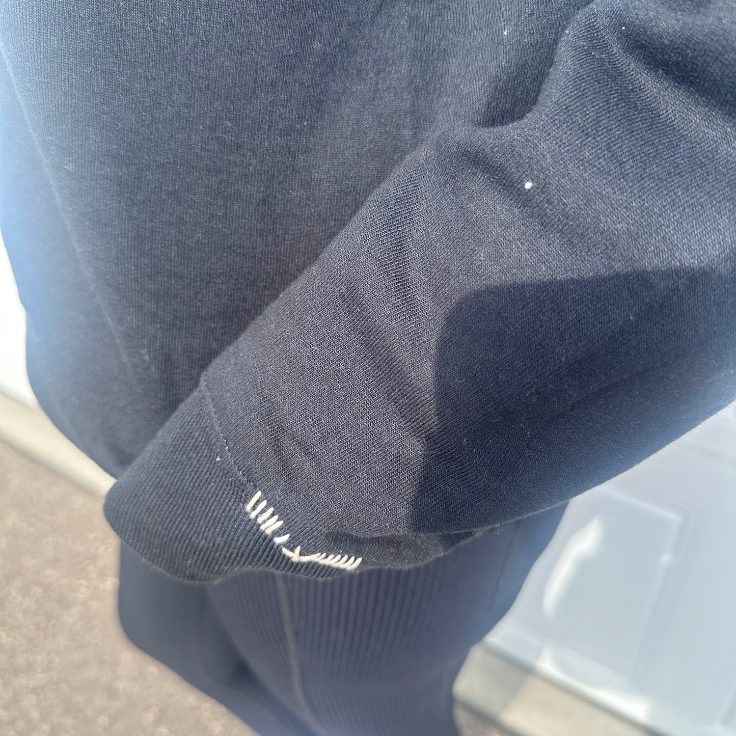 *CHEEKY LISA EXCLUSIVE* Embroidered Raptors Crewneck