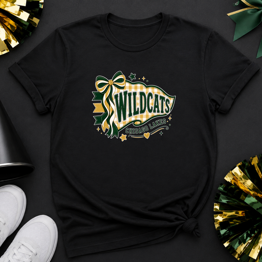 Chisago Lakes Cheer Tee 7