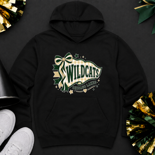 Chisago Lakes Cheer Hoodie 7