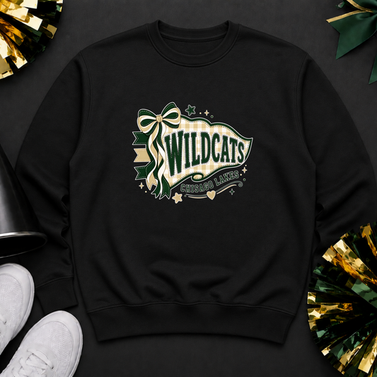 Chisago Lakes Cheer Crew 7