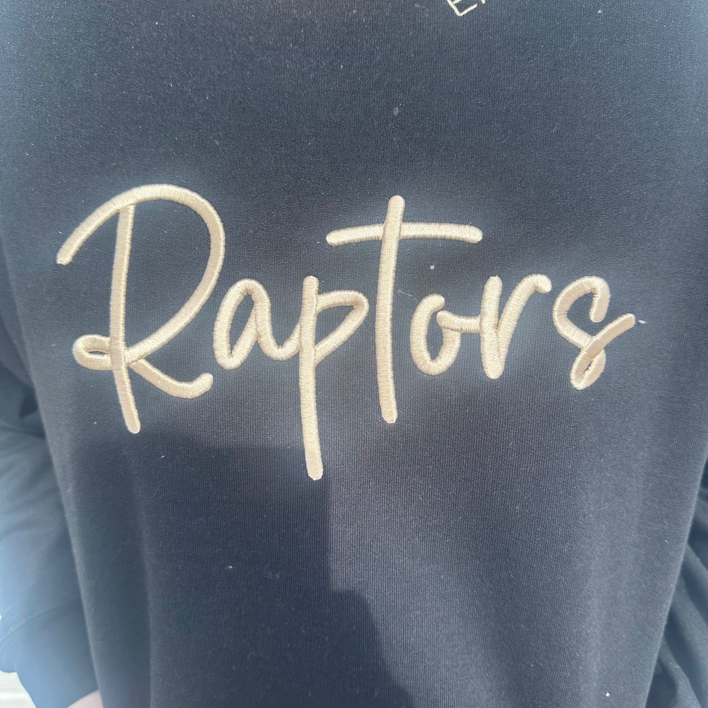 *CHEEKY LISA EXCLUSIVE* Embroidered Raptors Crewneck