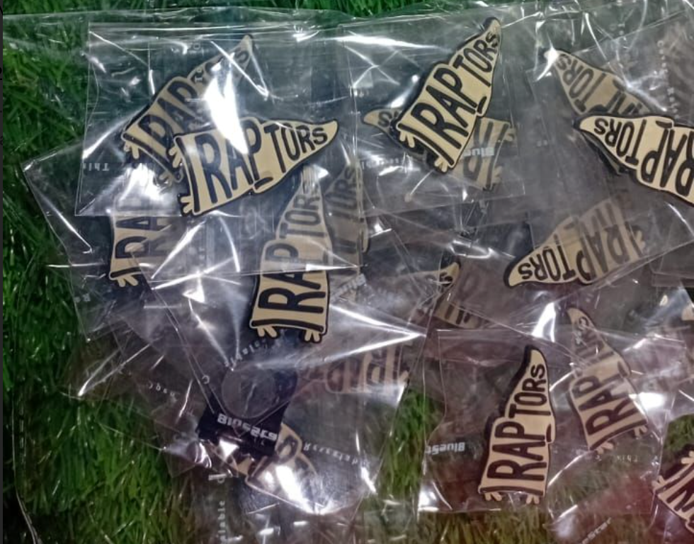 Raptors Croc Charms - Pennant